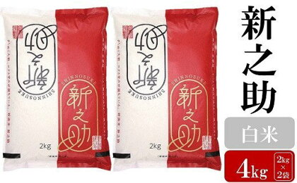 【令和5年産米】お米と共に200年の松村商店直送！ 新之助 白米 4kg（2kg×2袋）【 新潟県 柏崎市 】