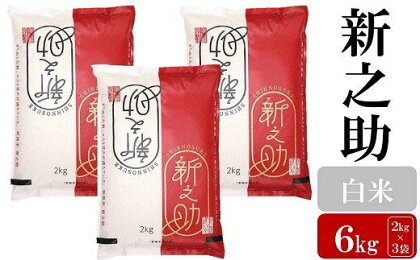 【令和5年産米】お米と共に200年の松村商店直送！ 新之助 白米 6kg（2kg×3袋）【 新潟県 柏崎市 】