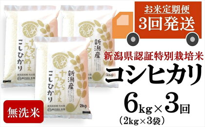 令和5年産米【定期便】ヤタらうんめぇ コシヒカリ 無洗米 6kg（2kg×3袋）×3回（計 18kg）水田環境鑑定士在籍【 新潟県 柏崎市 】