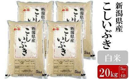 【令和5年産米】お米と共に200年の松村商店直送！ こしいぶき 白米 20kg（5kg×4袋）【 米 お米 新潟県 柏崎市 】