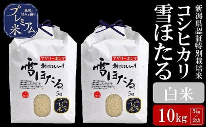 【令和5年産米】甘味の強いプレミアム米 新潟県認証特別栽培米 コシヒカリ 白米 10kg（5kg×2袋）【 新潟県 柏崎市 】