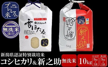 【令和5年産米】甘味の強いプレミアム米 新潟県認証特別栽培米 コシヒカリ・新之助 無洗米 各5kg 食べ比べセット【 新潟県 柏崎市 】