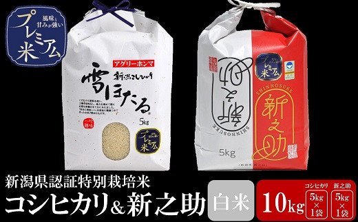 8位! 口コミ数「0件」評価「0」【令和5年産米】甘味の強いプレミアム米 新潟県認証特別栽培米 コシヒカリ・新之助 白米 各5kg 食べ比べセット 新潟県 柏崎市 】