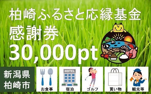 15位! 口コミ数「0件」評価「0」柏崎ふるさと応縁基金感謝券（30,000pt）【 新潟県 柏崎市 】