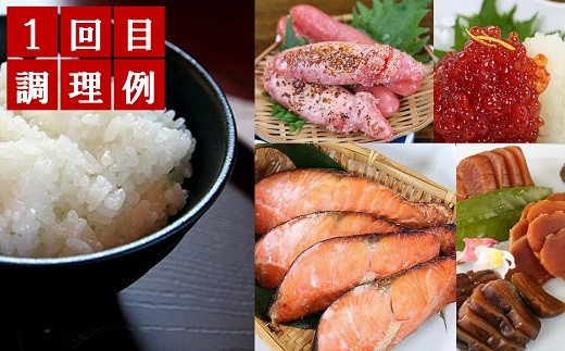 【ふるさと納税】【定期便】日本海鮮魚センター厳選！海の幸＆コシヒカリ5kgセット（全3回）【 米 お米 干物 のどぐろ 銀だら 西京漬 真鯛 新潟県 柏崎市 】