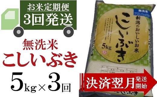 【ふるさと納税】令和5年産米【3ヶ月定期便】柏崎産 こしいぶき 無洗米 5kg×3回（計 15kg）【お米 米 ...