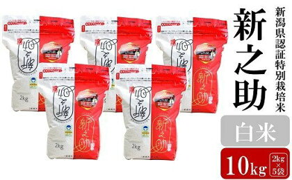 【令和5年産米】新潟県認証特別栽培米 新之助 白米 10kg（2kg×5袋）【 新潟県 柏崎市 】