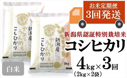 令和5年産米【定期便】ヤタらうんめぇ コシヒカリ 白米 4kg（2kg×2袋）×3回（計 12kg）水田環境鑑定士在籍【 新潟県 柏崎市 】