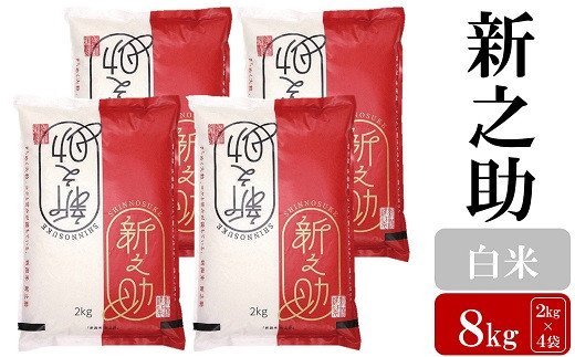 14位! 口コミ数「0件」評価「0」【令和5年産米】お米と共に200年の松村商店直送！ 新之助 白米 8kg（2kg×4袋）【 新潟県 柏崎市 】