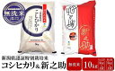 10位! 口コミ数「0件」評価「0」【令和5年産米】新潟県認証特別栽培米 コシヒカリ・新之助 無洗米 各5kg 食べ比べセット【 新潟県 柏崎市 】