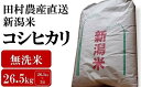 《 商品の説明 》 【令和5年産米】コシヒカリ 無洗米 26.5kg×1袋 お米といえばやっぱりコシヒカリ！ 多くの品種を栽培している田村農産でも1番人気のお米です。 強い甘みと旨味があり、炊き上がりの美しさと香りもピカイチです！ 田村農産自慢のお米は、刈羽三山のひとつである黒姫山から流れ出た豊富な雪解け水で栽培しています。 品種に合わせた管理を行い、美味しいお米をお届けできるよう努めています。 ※パッケージは予告なく変更する場合がございます。 検索ワード：大容量　業務用　精米済 名称 【令和5年産米】田村農産のコシヒカリ 無洗米 26.5kg 内容・サイズ ・コシヒカリ 無洗米：26.5kg×1袋 消費期限 精米日から1ヶ月がおいしく召し上がれる期間です。 高温多湿を避け、冷暗所で保存してください。 1ヶ月以上保存する場合は、密封容器に入れて冷蔵で保存してください。 発送期日 決済から30日前後で発送 ※2023年6月1日(木)から、返礼品発送後の転送（配送先変更）につきましては、転送区間の運賃が受取人様のご負担（有料）となります。返礼品の配送先住所に変更があった場合には、速やかにサポートセンターまでご連絡ください。また、寄附申込時に配送先住所が誤っていた場合の転送は、受取人様のご負担となります。返礼品配送先住所をご入力の際、今一度ご確認ください。 申込期日 通年 配送 常温 提供元 株式会社　田村農産（柏崎専農経営者会議） ・ふるさと納税よくある質問はこちら ・寄附申込みのキャンセル、返礼品の変更・返品はできません。あらかじめご了承ください。寄附金の用途について 人と自然にやさしいエネルギーのまちづくりのために こどもたちのために 若者と女性のために 市長におまかせ 指定がない場合は、柏崎市が実施している事業の費用に充当させていただきます。 受領証明書及びワンストップ特例申請書のお届けについて 入金確認後、注文内容確認画面の【注文者情報】に記載の住所にお送りいたします。 発送の時期は、寄附確認後30営業日以内に、返礼品とは別にお送りいたします。 ご自身でワンストップ特例申請書を取得する場合は、下記からダウンロードしてご利用ください。 申請書のダウンロードはこちらから ※ワンストップ特例申請書の記入及び提出について ・申請書、個人番号（マイナンバー）が記載された書類の写し及び身元が確認できる書類の写しについて、全ての書類の氏名・住所が一致しているか確認のうえ、ご提出ください。 ・提出期限は寄附を行った年の翌年1月10日（必着）です。 不備等があった場合、受付できないことがあります。