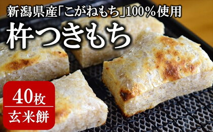 玄米餅 40枚（8枚入り×5パック）柏崎産こがねもち100％使用 角餅 切り餅【お餅 切餅 新潟県 柏崎市 】