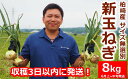 30位! 口コミ数「0件」評価「0」【先行予約・令和6年6月発送】おいしいね 新玉ねぎ サイズ無選別 8kg【 新潟県 柏崎市 】