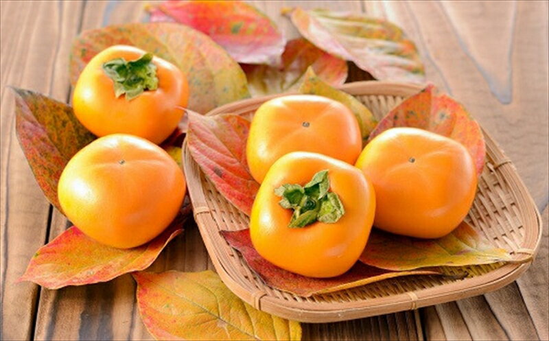 【ふるさと納税】【先行予約・令和6年秋発送】とろける甘みの新道柿 5kg【 柿 フルーツ 新潟県 柏崎市 】のサムネイル