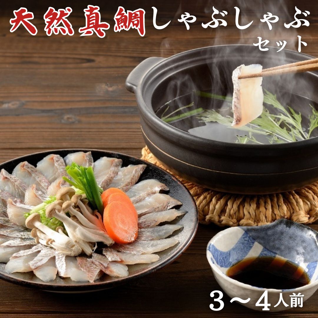 【ふるさと納税】ぷりぷり食感!天然真鯛しゃぶしゃぶセット 3~4人前 カット済 鯛アラ・ポン酢付き 海の幸特集【 タイ しゃぶしゃぶ 新潟県 柏崎市 】