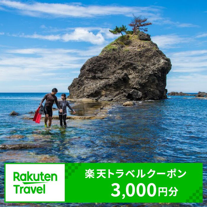 新潟県柏崎市の対象施設で使える楽天トラベルクーポン 寄附額10,000円