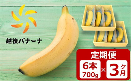 【定期便・雪国新潟産バナナ】6本（700g）×3回 濃厚な甘さともっちり食感！安心安全の越後バナーナ【 新潟県 柏崎市 】