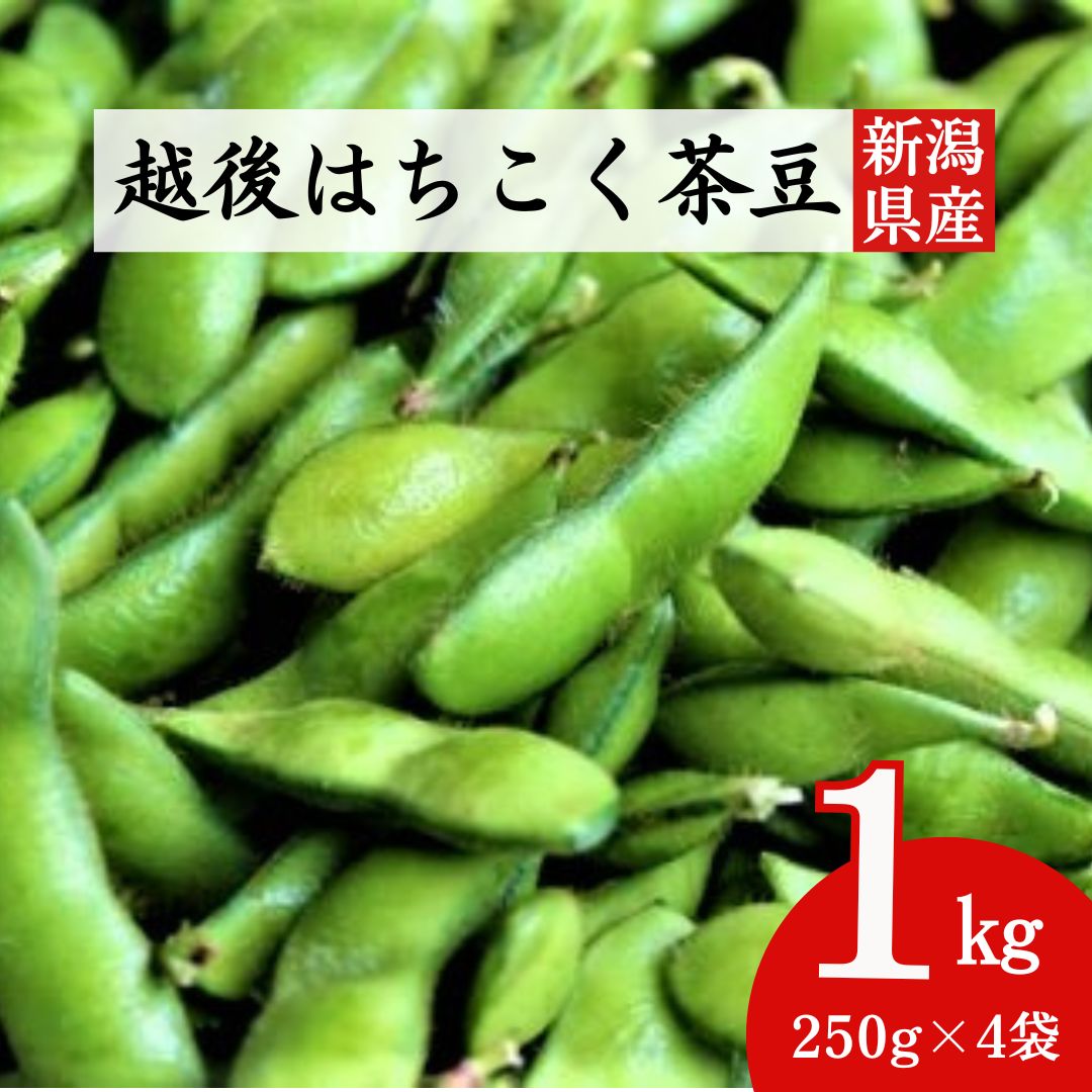 【ふるさと納税】大粒・風味豊かな枝豆！柏崎の早生茶豆「越後はちこく茶豆」 1kg（250g×4袋）【期間・数量限定】[ZA025]【 新潟県 柏崎市 】のサムネイル