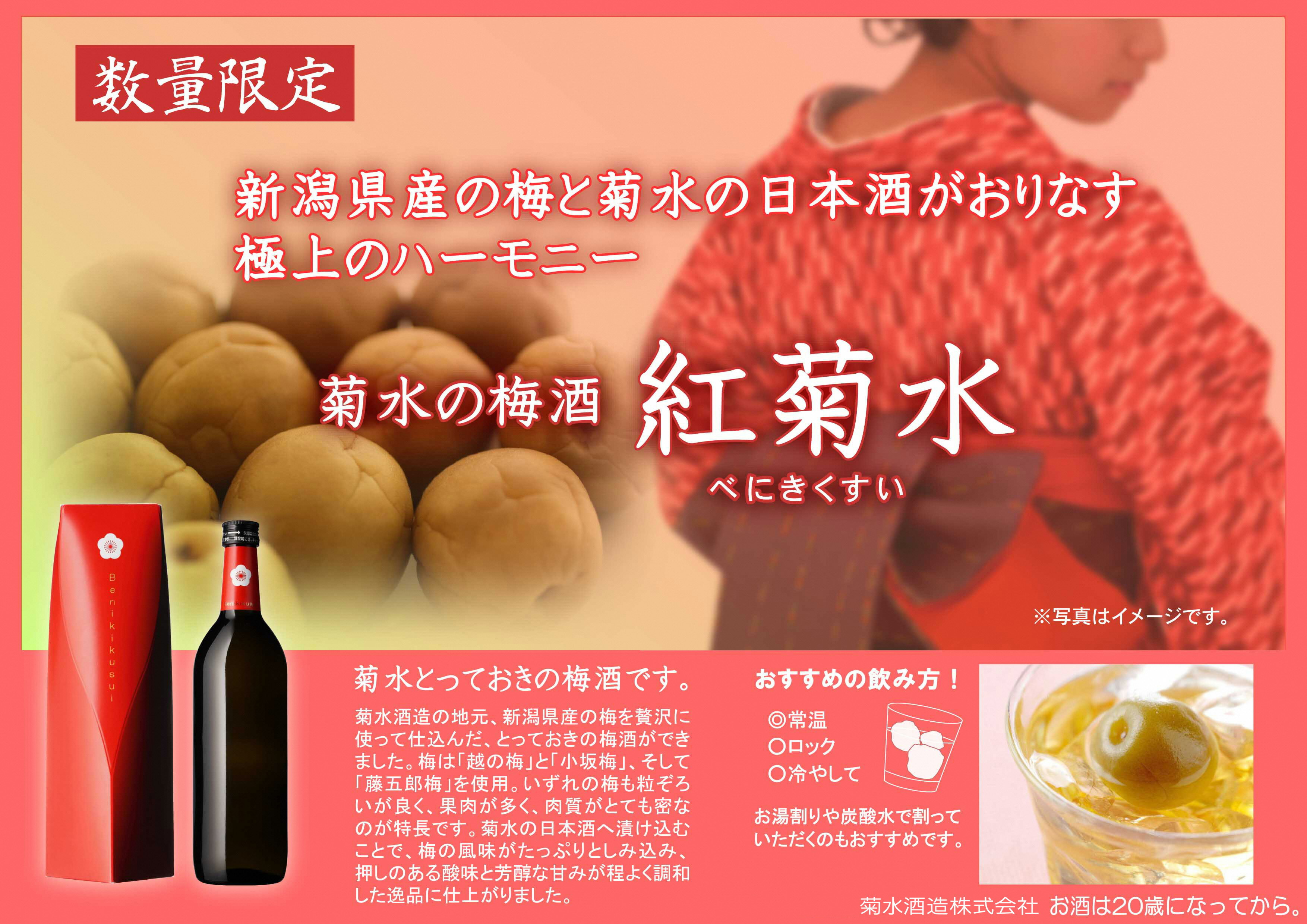【ふるさと納税】E112純米酒で仕込んだ蔵元こだわりの梅酒紅菊水720mltimes;2本