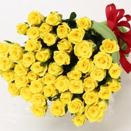 【ふるさと納税】【お届け日時指定必須】G04 生産者直送！バラの花束（お任せ同色系50本）【 バラ 生花 花束 フラワーアレンジメント 記念日 プレゼント 花 50本 同色系 】のサムネイル