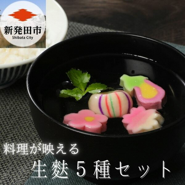 生麩 5種セット [ 生麩 5種 セット お祝い 正月 年末 特別 縁起物 高級感 華やか ひょうたん さくら なす てまり うめ 冷凍 宮村製麩所 おもてなし おせち I29 ]