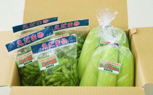 夏の味覚の最強コンビ！枝豆1.2kg＆とうもろこし6本【 新潟県 新発田産 枝豆 とうもろこし セット 先行予約 数量限定 C21_01 】