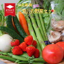 7位! 口コミ数「1件」評価「4」 新発田産 旬の野菜セット【 JA北新潟 野菜セット 直売所 食育ソムリエ 旬 C08 】