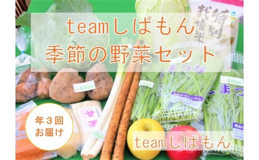 【ふるさと納税】【年3回】 teamしばもん 季節の野菜セット【 野菜 セット しばもん 生産者直送 年3回 定期便 新発田市 新潟県 C17_01 】