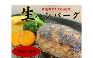 【ふるさと納税】 先崎畜産 新発田牛 100%使用 生ハンバーグ 【 新発田牛 にいがた和牛 ブラン...