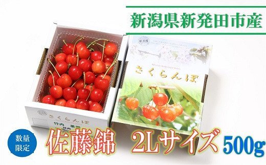 2位! 口コミ数「2件」評価「3」 佐藤錦 2L 500g 【 さくらんぼ サクランボ 佐藤錦 竹内果園 季節限定 数量限定 2L 先行予約 C05_01 】