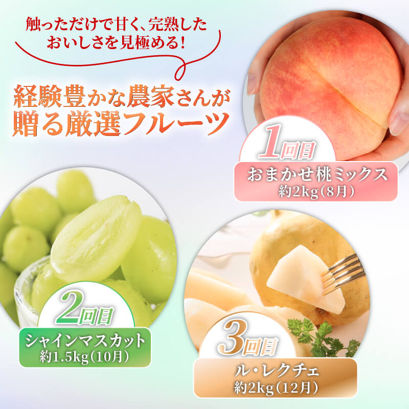 【ふるさと納税】 2026年発送 先行予約 果物 定期便 全3回 シャインマスカット 桃 ルレクチェ 洋ナシ ル・レクチェ ぶどう くだもの フルーツ 新潟 新発田 takahashi004