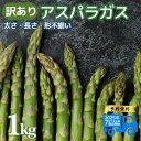 【ふるさと納税】 先行予約 訳あり アスパラガス 1kg 令和7年産 アスパラ 甘い 柔らかい 特産品 野菜 春野菜 夏野菜 JA北新潟 新潟県 新発田産 新発田市 JA002