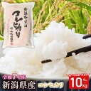 【ふるさと納税】 令和7年産 コシヒカリ 4kg 6kg 10kg 米 単品 白米 精米 玄米 ご飯 料理 おにぎり 弁当 新潟県産 新潟産 新発田産 コシヒカリ 佐々木耕起組合 特別栽培米 新潟県 新発田市 非常食 常備食
