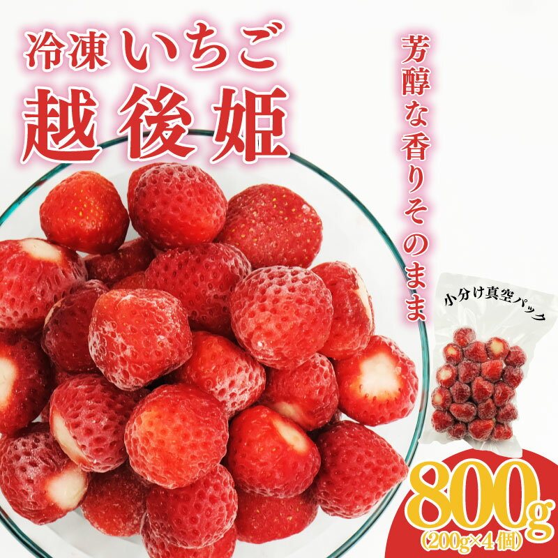 冷凍いちご 越後姫 800g 200g × 4パック 越後姫 いちご 苺 冷凍苺 かき氷 シャーベット スムージー ヨーグルト ストロベリー 果物 くだもの 人気 冷凍フルーツ フルーツ デザート お菓子 夏 新潟県 新発田市 imagawaya017