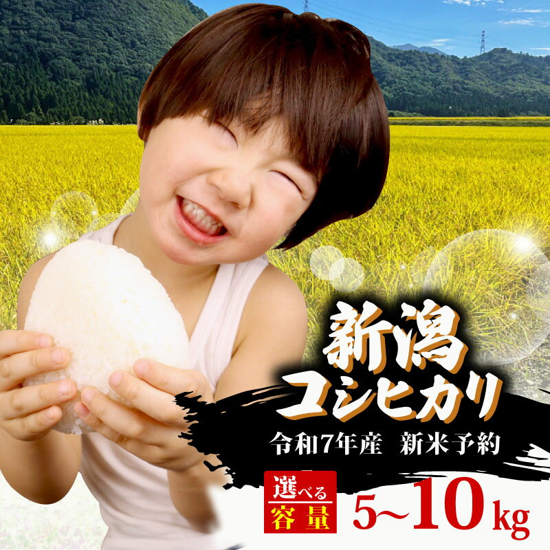 【ふるさと納税】 R7年産先行予約 新米 新潟県産コシヒカリ 選べる 5kg 10kg 20kg 定期便 5kg 3回 6回 10kg 3回 6回 特別栽培米 コシヒカリ 3か月 6ヶ月 新潟県 新発田市 米 コシヒカリ コンテスト 入賞 玄米 川瀬農園 新潟 新発田 D71Pのサムネイル