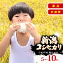 【ふるさと納税】 R7年産先行予約 新米 新潟県産コシヒカリ 選べる 配送月 容量 単品 定期便 5kg 10kg 3回 6回 特別栽培米 コシヒカリ 新潟県 ...