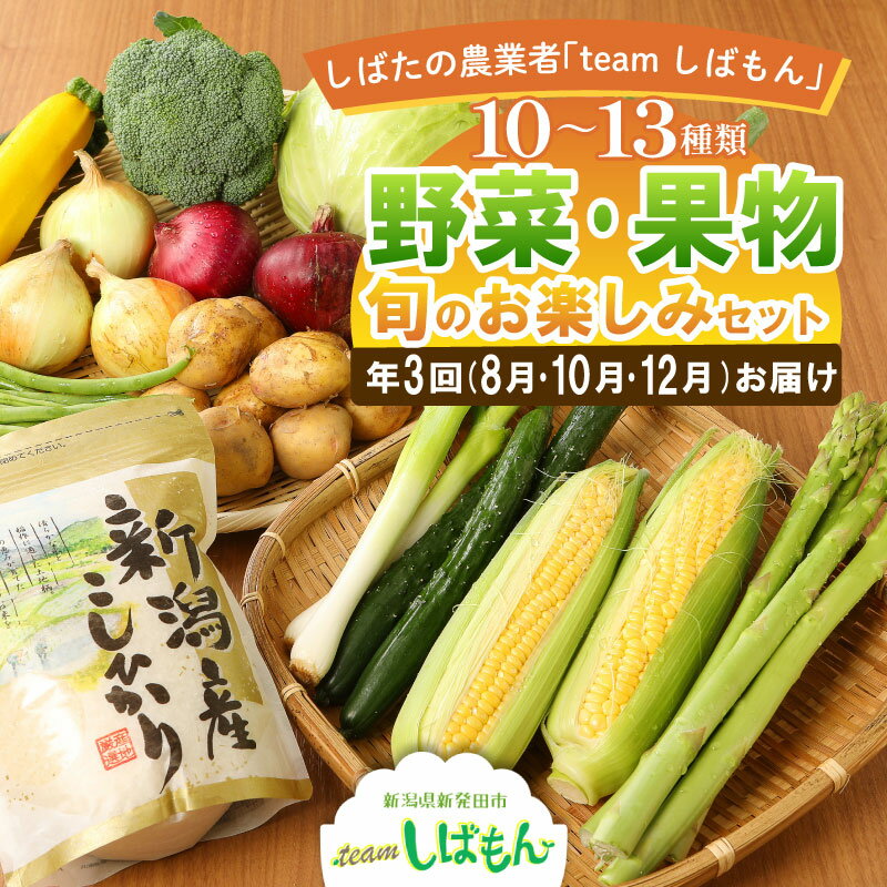 ڤդ뤵Ǽǡ   ǯ3 ܤڤϤ teamФ ڥå  ȯ  å Ф ...