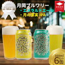 【ふるさと納税】 クラフトビール 飲み比べ 350ml 6本セット 2種 エール IPA エメラルドエール 月の果実IPA 6本 6缶 セット 月岡 ブルワリー きれい キレイ ビール 女性 アルコール低め ホップ マスカット フルーツエール 苦み 新潟県 新発田市 shinbo017