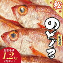 【ふるさと納税】 ノドグロ 4尾セット 1.2kg 以上 1尾 約300g以上 新潟 日本海産 高級魚 新鮮 真空 急速冷凍 冷凍 魚介類 日本海 新潟産 国産 松竹梅【松】uomizushima003