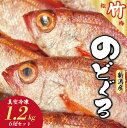 【ふるさと納税】 ノドグロ 6尾 1.2kg 以上 1尾 約200g以上 新潟 日本海産 高級魚 新鮮 真空 急速冷凍 冷凍 魚介類 日本海 新潟産 国産 松竹梅【竹】uomizushima004