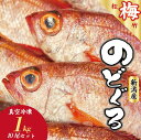 【ふるさと納税】 ノドグロ 10尾 1kg以上 1尾 約100g以上 新潟 日本海産 高級魚 新鮮 真空 急速冷凍 冷凍 魚介類 日本海 新潟産 国産 松竹梅【梅】uomizushima005