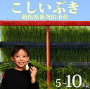 【ふるさと納税】 こしいぶき 10kg 20kg 令和7年産 先行予約 コシヒカリ こしひかり 遺伝子を引き継ぐ ご飯 備蓄 コメ お米 米 こめ しんまい 新潟産 新潟米 新潟県 新潟 新発田 新発田市 国産 新発田市産 斗伸 toushin039 toushin040