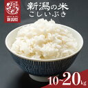 【ふるさと納税】 こしいぶき 10kg 20kg 令和7年産 先行予約 コシヒカリ こしひかり 遺伝子を引き継ぐ ご飯 備蓄 コメ お米 米 こめ しんまい 新...