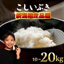 【ふるさと納税】 こしいぶき 10kg 20kg 令和7年産 先行予約 コシヒカリ こしひかり 遺伝子を引き継ぐ ご飯 備蓄 コメ お米 米 こめ しんまい 新...
