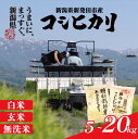 【ふるさと納税】 令和7年産 コシヒカリ 新潟 選べる 5kg 7kg 10kg 20kg 無洗米 白米 玄米 米 こめ 特別栽培米 甘うま越後の こしひかり 新潟県 新潟産 新潟県産 新発田 発田市 新発田産 新発田市産 斗伸 toushin