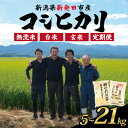 【ふるさと納税】 令和7年産 コシヒカリ 新潟 選べる 単品 定期便 5kg 7kg 10kg 15kg 20kg 21kg 無洗米 白米 玄米 米 こめ 特別...