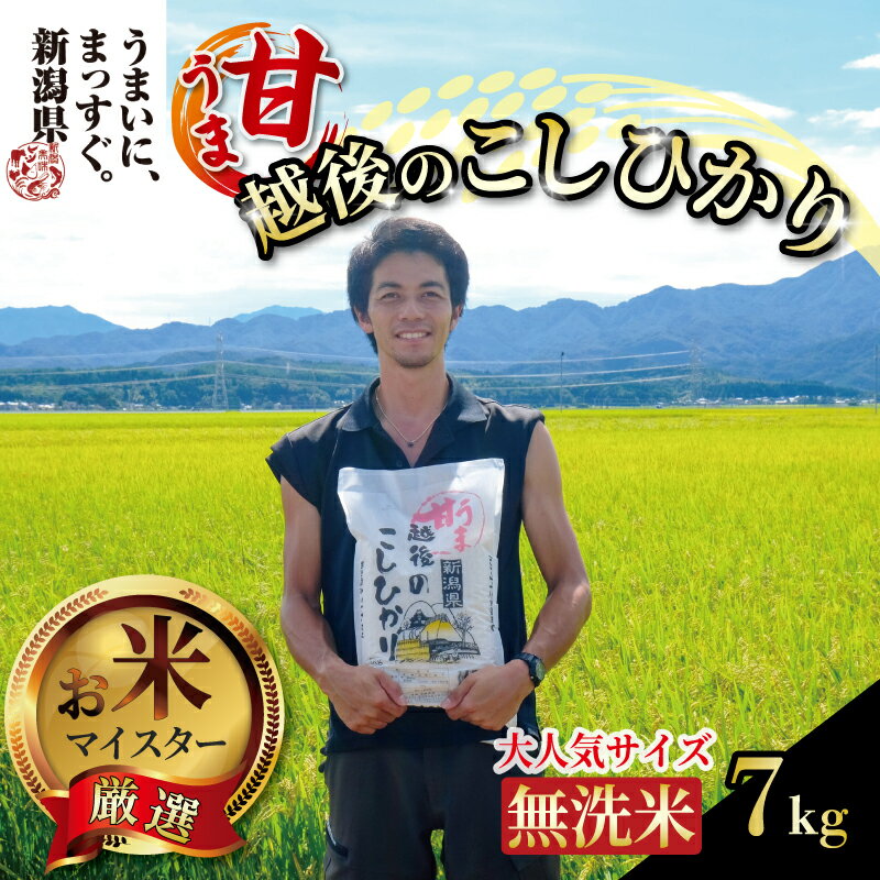 【ふるさと納税】 無洗米 甘うま こしひかり 7kg 令和6年産 越後 えちご 特別栽培米 新潟 コメ こめ お米 米 新潟県 新潟米 新発田市 新発田産 toushin005_01のサムネイル