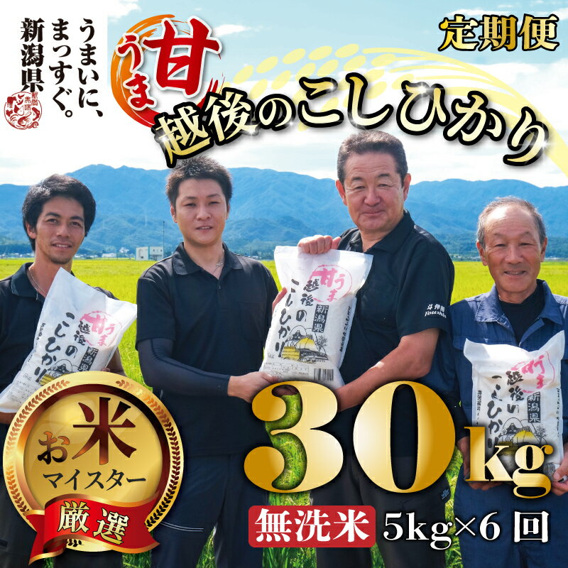 【ふるさと納税】無洗米 コシヒカリ 定期便 5kg 6ヵ月 30kg 甘うま越後のこしひかり 越後 えちご 特別栽培米 新潟 コメ こめ お米 米 しんまい 新潟県 新潟米 新発田市 新発田産 toushin007のサムネイル