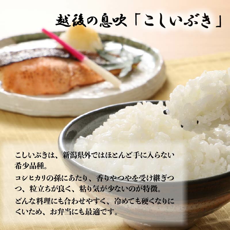 真空パックで美味しさ長持ち！希少品種「こしいぶき」　【ふるさと納税】こしいぶき 5kg 10kg （5kg×2袋）選べる 配送月 容量令和7年産 五つ星お米マイスター 真空パック 米 新米 新発田産 備蓄 非常 防災 長期保存 アウトドア ごはん ご飯 お米 こめ 新潟県 新発田市 新潟県産 三糧 sanryo013P
