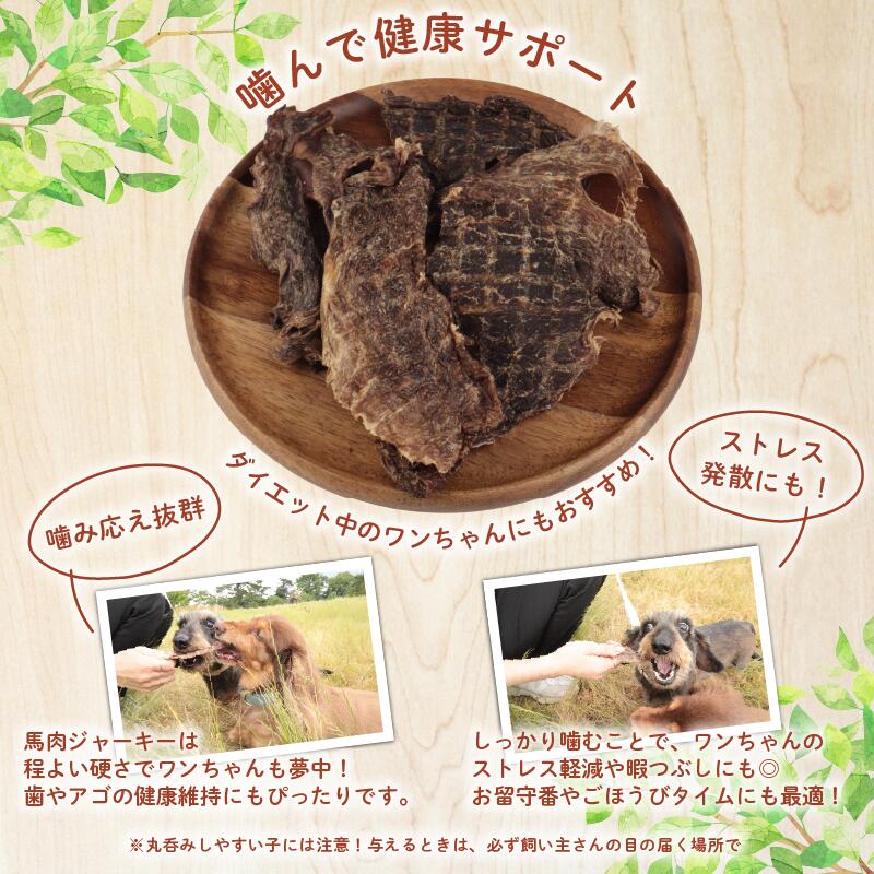 新潟県新発田市の画像3